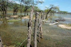 Lago Enriquillo