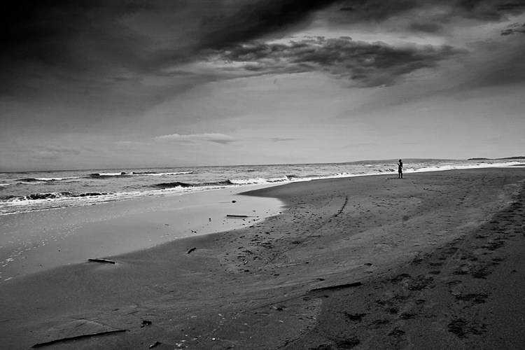 3751500901_0c39e9f741_o