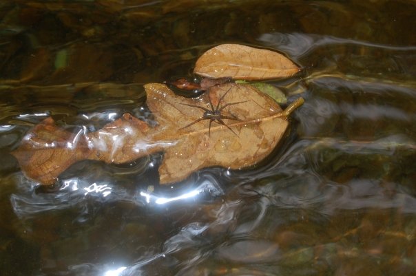 6300_144263940728_724840728_3611975_1874225_n