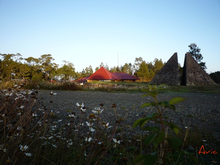 Flores, Centro y Piramide 